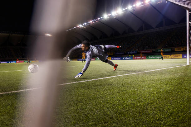 既能满足观 既能满足观