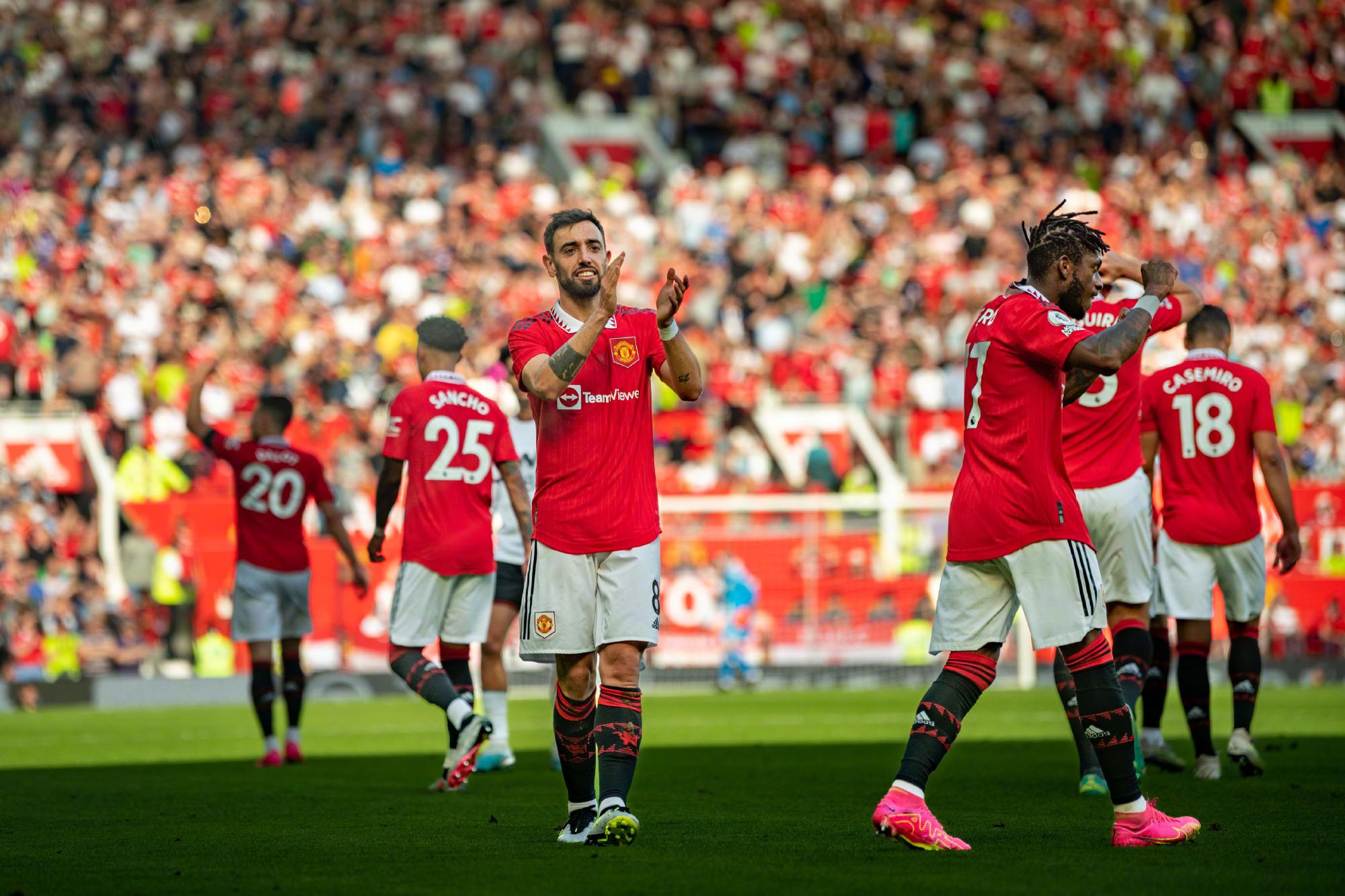 的重要一员 的重要一员